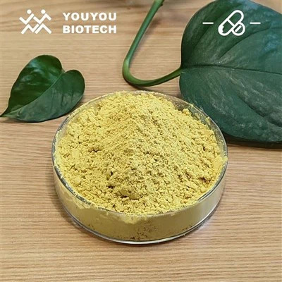 Dihydroberberin-Pulver